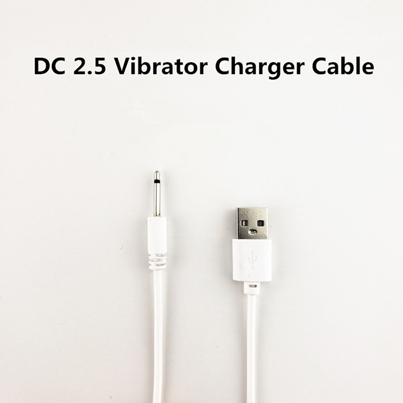 【C】Universal USB DC 2.5mm Vibr - Renewable Energy Sources recensione e prezzo