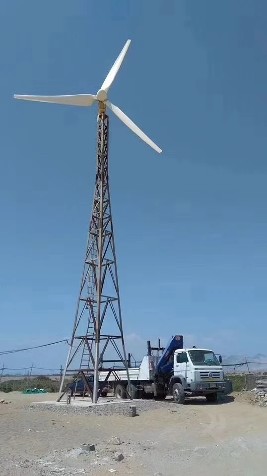 CE Poland Germany Ukraine Hot  - Wind Turbine Generator recensione e prezzo