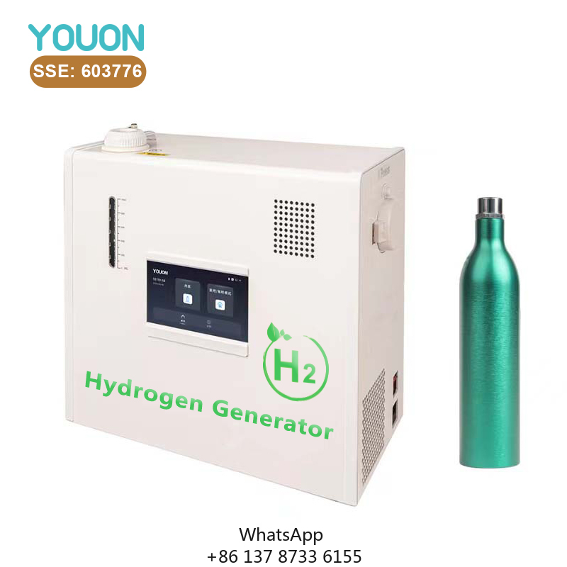 40L/h Hydrogen Generator Low-p - Renewable Energy Hydrogen recensione e prezzo