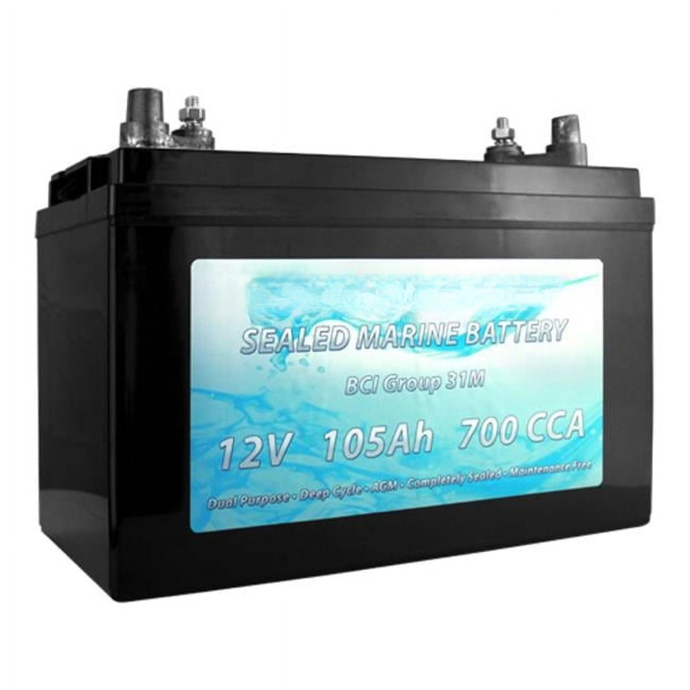 BCI Group 31M Dual Purpose Dee - Agm Deep Cycle Battery recensione e prezzo