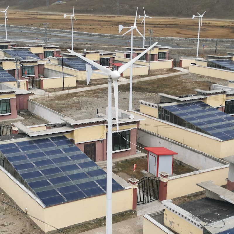 With Ce Certificate Wind Gener - Wind Turbine Generator recensione e prezzo