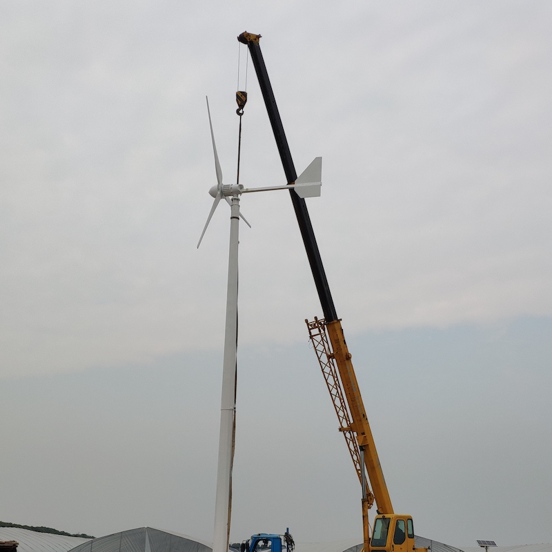 With Ce Certificate Wind Gener - Wind Turbine Generator recensione e prezzo