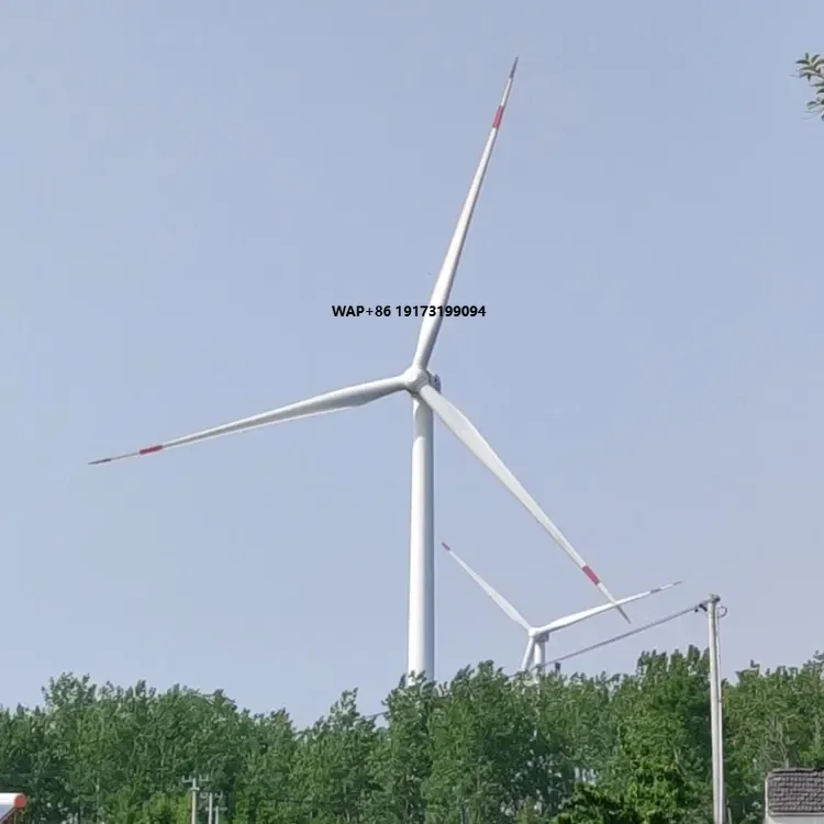 Windmill Power Plant 5Kw 10Kw  - Wind Turbine Generator recensione e prezzo