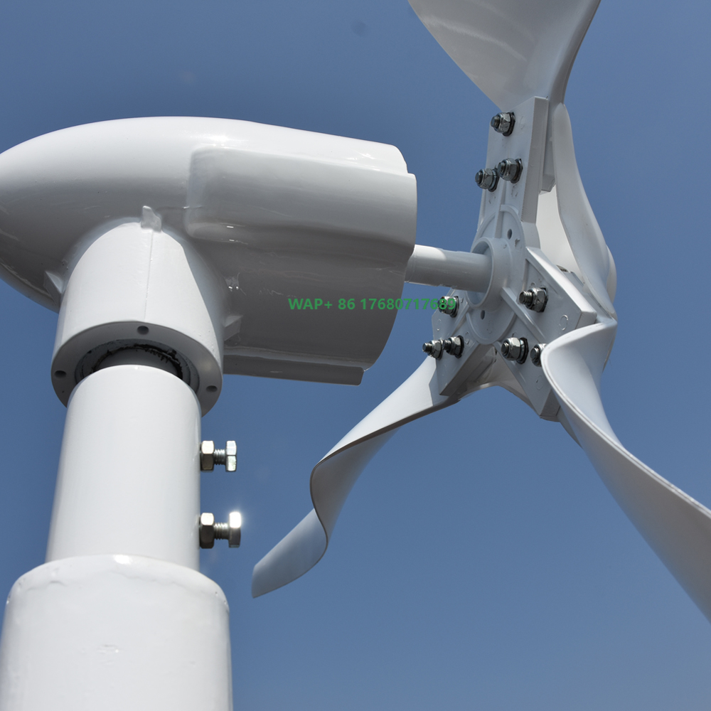 Free Energy Professional Custo - Wind Turbine Generator recensione e prezzo
