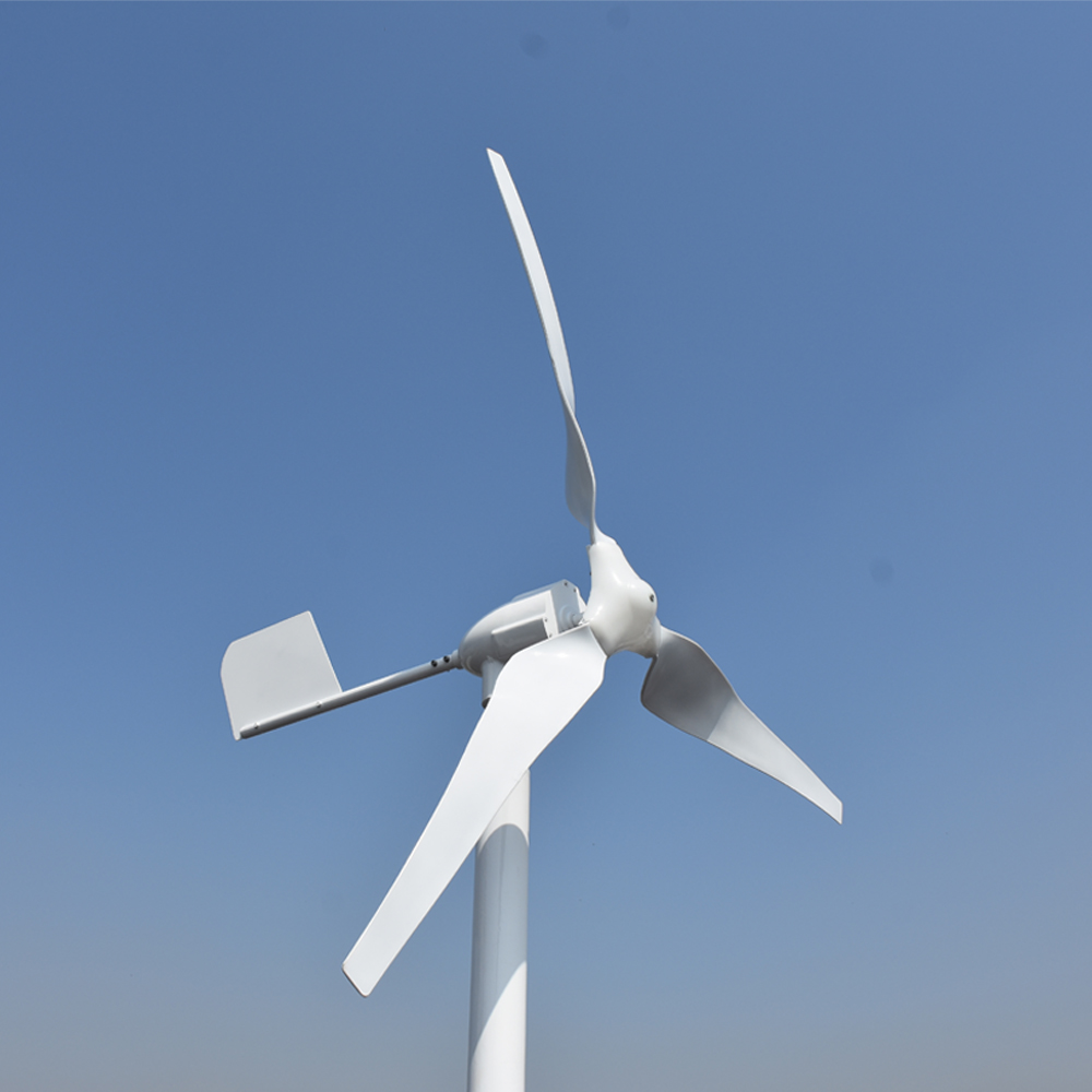 Free Energy Professional Custo - Wind Turbine Generator recensione e prezzo