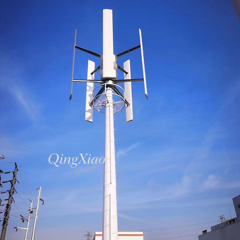300W 800W Vertical Axis Wind T - Wind Turbine Generator recensione e prezzo