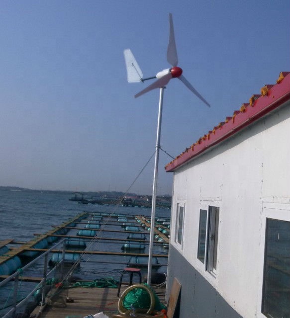 HOT SALE! High Efficiency 12v  - Wind Turbine Generator recensione e prezzo