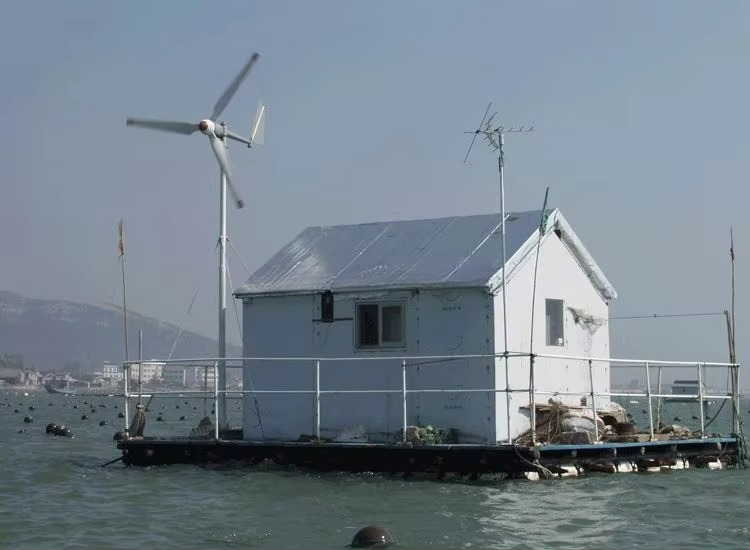 HOT SALE! High Efficiency 12v  - Wind Turbine Generator recensione e prezzo