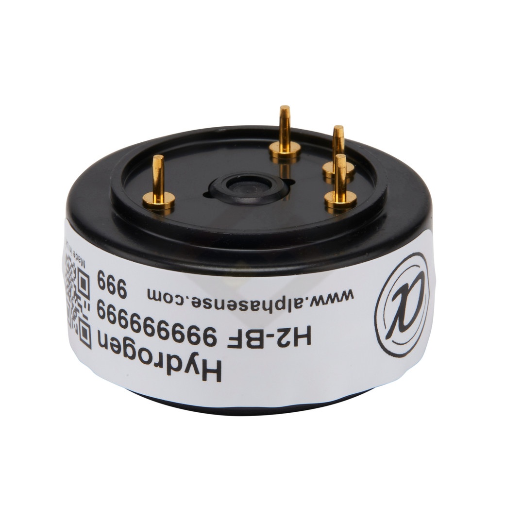 H2-BF Figaro Hydrogen Gas Sens - Renewable Energy Hydrogen recensione e prezzo